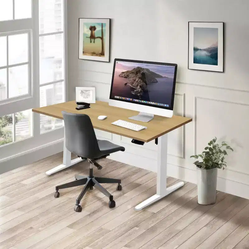 Steel MDF Electric Sit-Stand Desk 55"W x 29"D, Height Range 29.3"–47.5"
