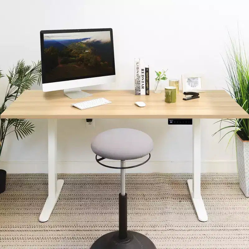 Steel MDF Electric Sit-Stand Desk 55"W x 29"D, Height Range 29.3"–47.5"